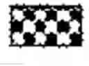 Fig. 35 - BTL-II nucleic acids