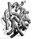 Fig. 01 - Crystal structure of an angiotensin-converting enzyme (ACE) and uses thereof