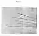 Fig. 06 - Crystal structure of an angiotensin-converting enzyme (ACE) and uses thereof