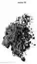 Fig. 09 - Crystal structure of an angiotensin-converting enzyme (ACE) and uses thereof