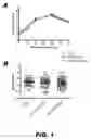 Fig. 02 - Attenuated RNA virus and applications thereof