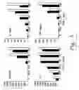 Fig. 06 - Pine Cone Extracts and Uses Thereof