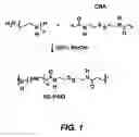 Fig. 02 - Cleavable modifications to reducible poly(amido ethylenimine)s to enhance nucleotide delivery