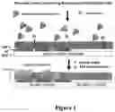 Fig. 02 - Metal enhanced fluorescence-based sensing methods
