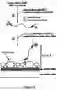 Fig. 09 - Metal enhanced fluorescence-based sensing methods
