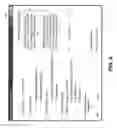 Fig. 09 - Mobile tracking