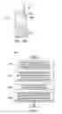 Fig. 04 - Resolving encoding dependencies for data bursts