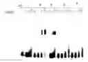 Fig. 01 - Method for synthesising templated molecules