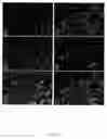 Fig. 09 - Methods and compositions for the repair and/or regeneration of damaged myocardium