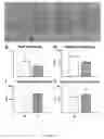 Fig. 45 - Methods and compositions for the repair and/or regeneration of damaged myocardium