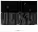 Fig. 89 - Methods and compositions for the repair and/or regeneration of damaged myocardium
