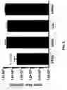Fig. 09 - Compositions and methods for inhibiting expression of a gene from the Ebola