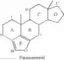 Fig. 02 - Method for synthesizing furanosteroids
