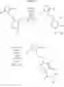Fig. 24 - Isoxazolo-pyridazine derivatives