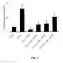 Fig. 02 - TREATMENT OF BRAIN DISORDERS