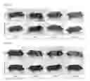 Fig. 03 - Compositions and Methods for Preventing and Treating Hair Growth Cycle-Related Conditions