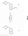 Fig. 07 - P38 inhibitors and methods of use thereof