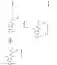 Fig. 43 - P38 inhibitors and methods of use thereof