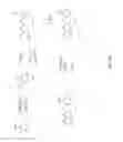 Fig. 53 - P38 inhibitors and methods of use thereof