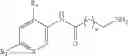 Fig. 131 - HDAC inhibitors