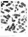 Fig. 09 - Antimicrobial nanoemulsion compositions and methods