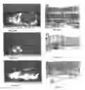 Fig. 22 - Antimicrobial nanoemulsion compositions and methods