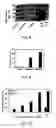 Fig. 06 - CHARGE REVERSIBLE POLYMERS
