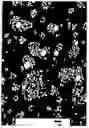 Fig. 01 - Polycarbonate Resin Composition and Molded Product Produced from the Same