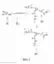 Fig. 02 - Fire resistant material and formation thereof