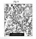 Fig. 09 - Transparent rubber modified styrene resin and method for preparing the same by continuous bulk polymerization