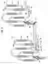 Fig. 09 - Double Loop Technology