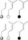 Fig. 41 - Methods for the synthesis of two or more dicarba bridges in organic compounds