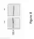 Fig. 09 - METHOD FOR ISOLATION OF GENOMIC DNA, RNA AND PROTEINS FROM A SINGLE SAMPLE