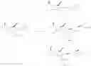 Fig. 06 - Carbapenem compound