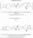 Fig. 09 - Processes for the preparation of 8-chloro-1-methyl-2,3,4,5-tetrahydro-1H-3-benzazepine and intermediates related thereto