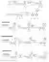 Fig. 01 - SYNTHESIS OF HETEROCYCLIC COMPOUNDS