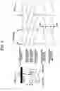 Fig. 08 - ULTRASONIC DIAGNOSTIC APPARATUS