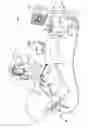 Fig. 02 - Flashlight view of an anatomical structure