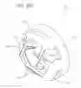 Fig. 52 - Vascular closure devices, systems, and methods of use