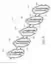 Fig. 21 - Axially-radially nested expandable device