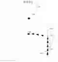Fig. 07 - POSITION REGISTERING APPARATUS, ROUTE RETRIEVING APPARATUS, POSITION REGISTERING METHOD, POSITION REGISTERING PROGRAM, AND RECORDING MEDIUM