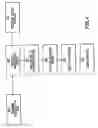 Fig. 07 - Geographic area multiple service card system