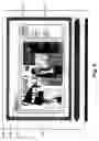 Fig. 06 - TABBED WINDOWS FOR VIEWING MULTIMEDIA PROGRAMS