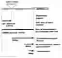 Fig. 01 - Control of Gene Expression in Plants