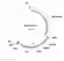 Fig. 01 - Expression enhancing intron sequences