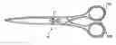 Fig. 01 - Hairdressing scissors