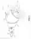 Fig. 02 - Caring shell for hermit crab
