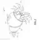 Fig. 03 - Caring shell for hermit crab