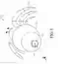 Fig. 04 - Caring shell for hermit crab