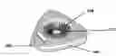 Fig. 01 - Finger cleaning multi-tool